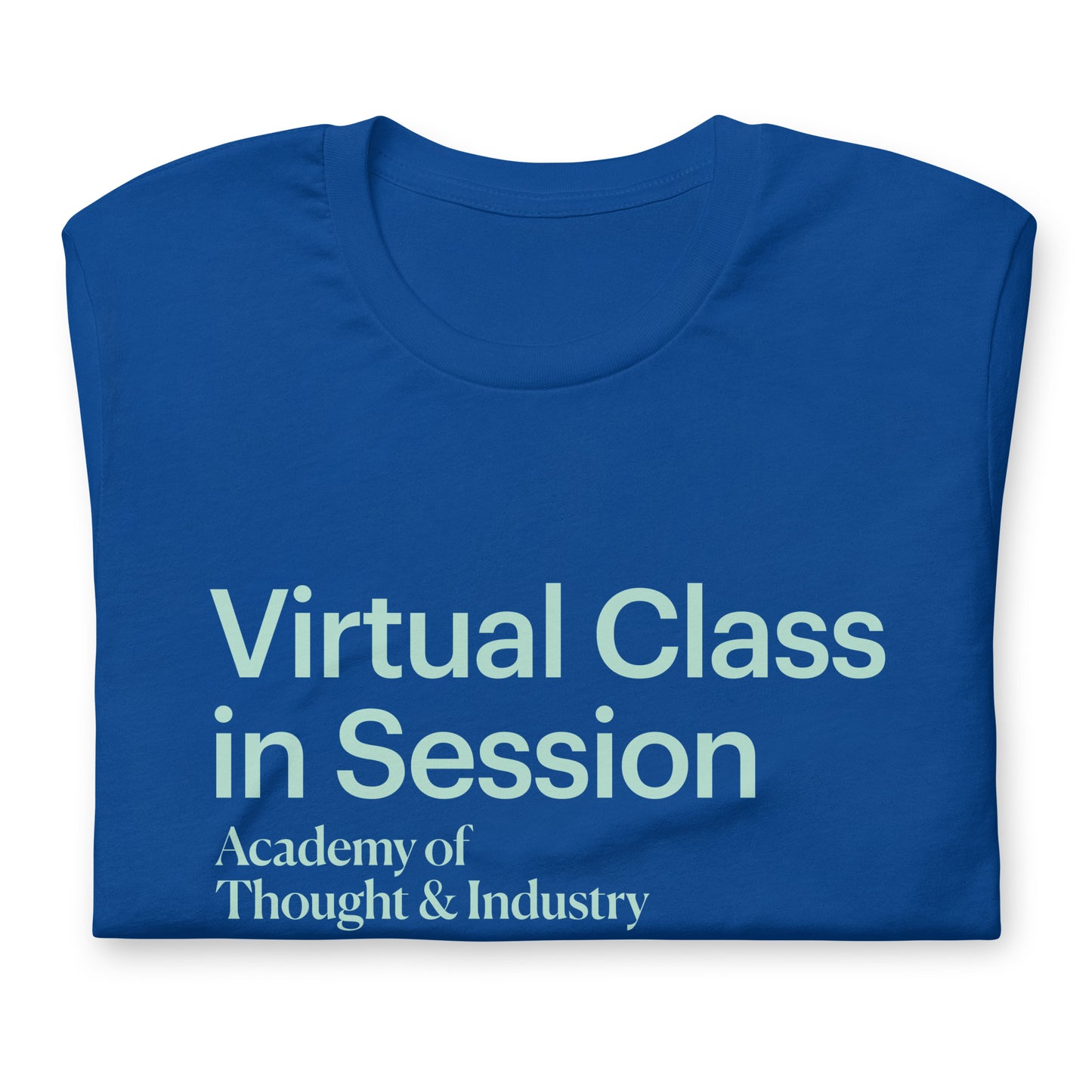 Virtual Class in Session Adult t-shirt